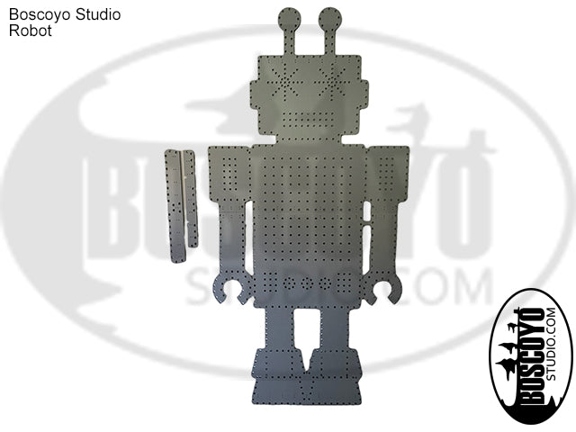 Robot